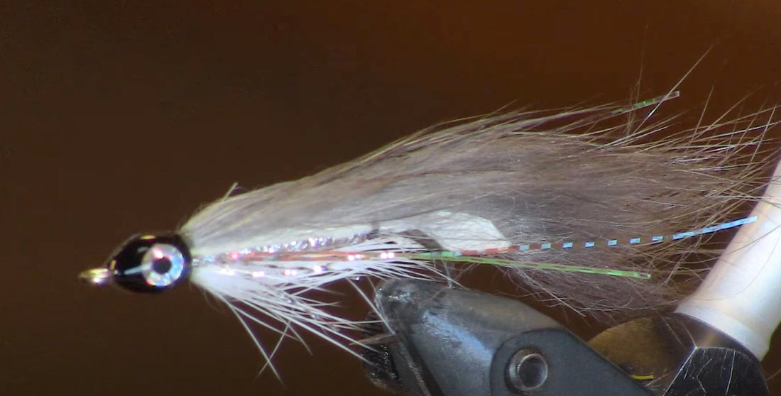 April Fly of the Month: Willy Whitefish