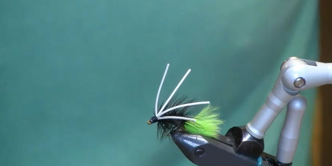 June Fly of the Month:  Woolly Bully