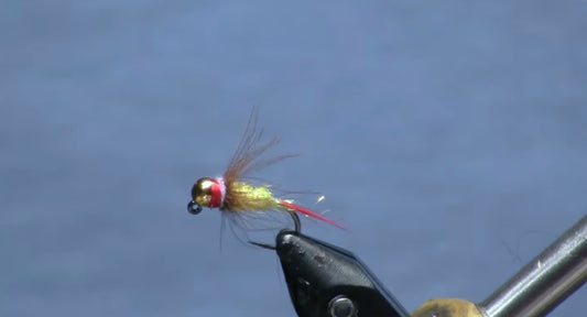 July Fly of the Month: Yellow Dart