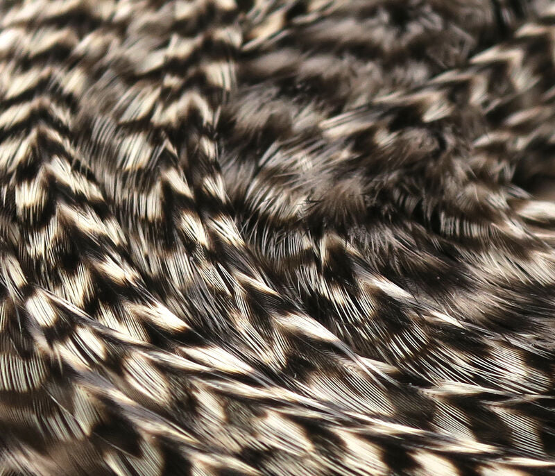Hackle