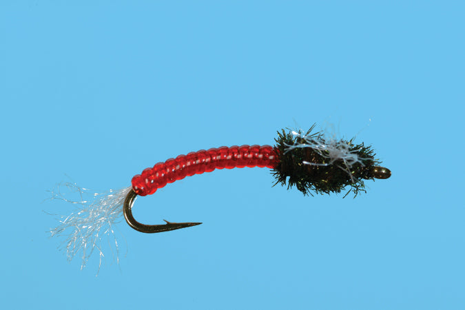 Clearance Flies