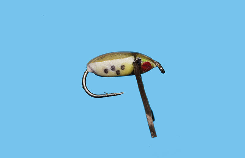 Water Boatmen
