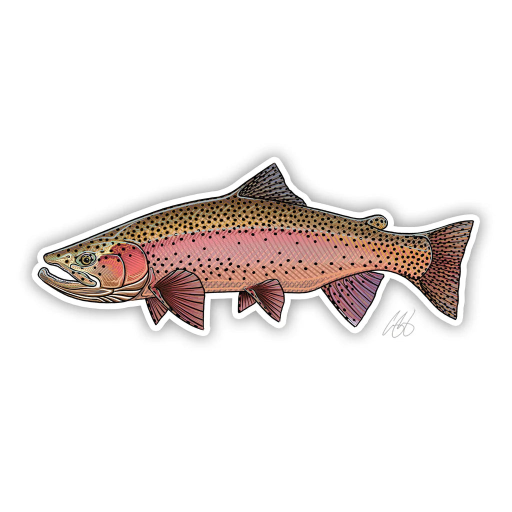 Spring Rainbow Decal