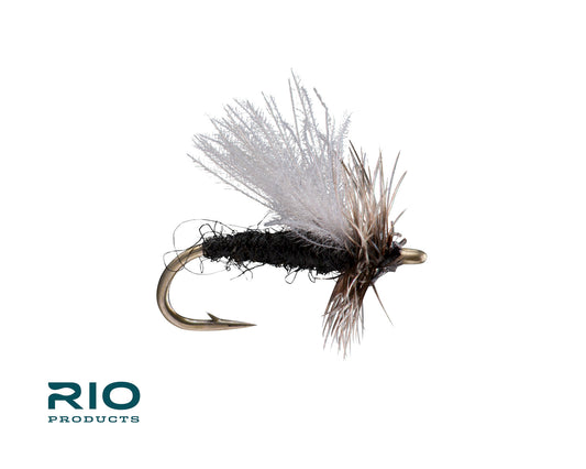 CDC Midge Adult