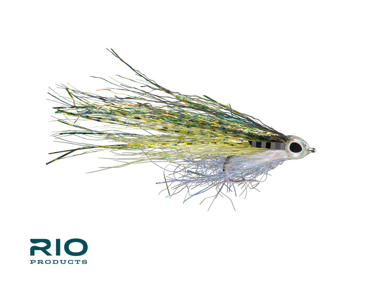 Rio's Just Keep Swimming