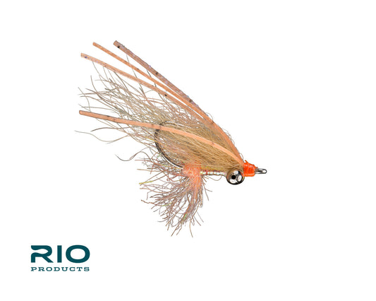 Rio's Arctic Bone