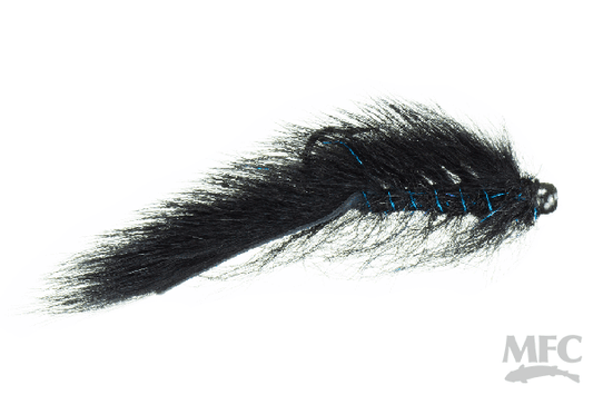 Balanced Squirrel Leech
