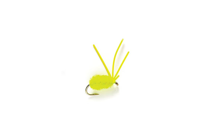 Bully Bluegill Spider