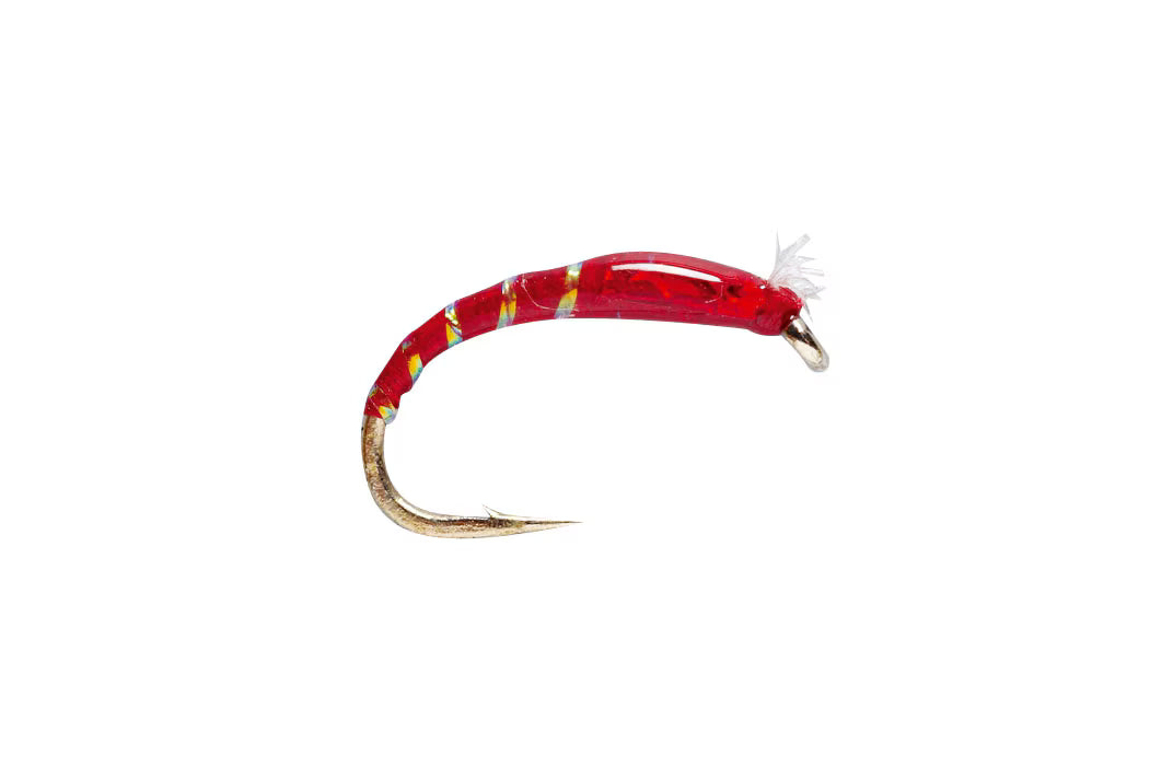 3D Glass Chironomid