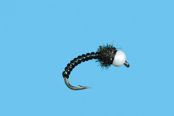 Chironocone