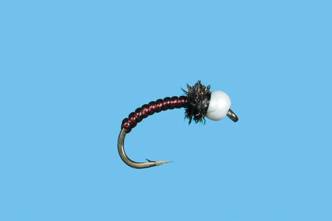 Chironocone