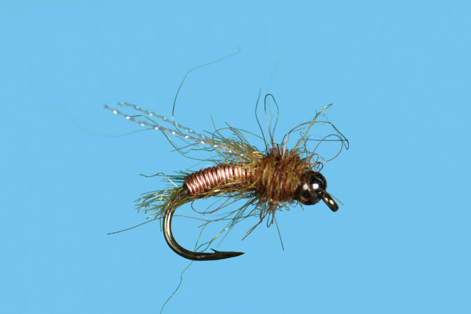 BH Deep 6 Caddis Pupa