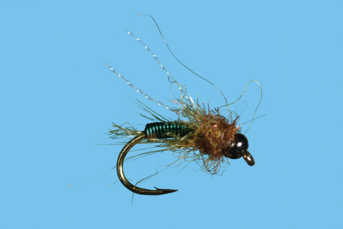 BH Deep 6 Caddis Pupa