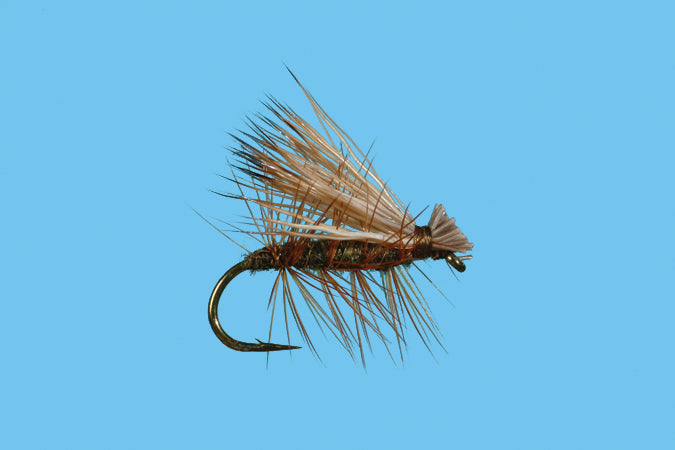 Elk Hair Caddis