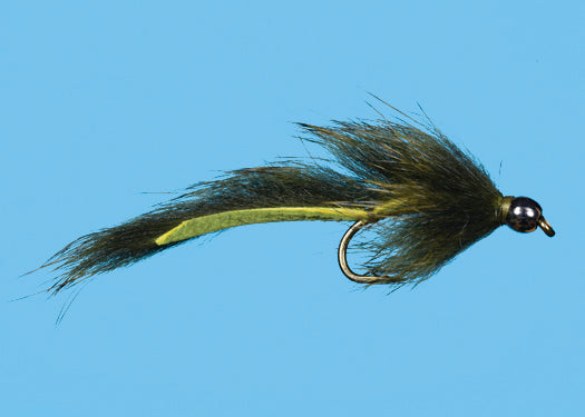 Hot Head Squirrel Leech