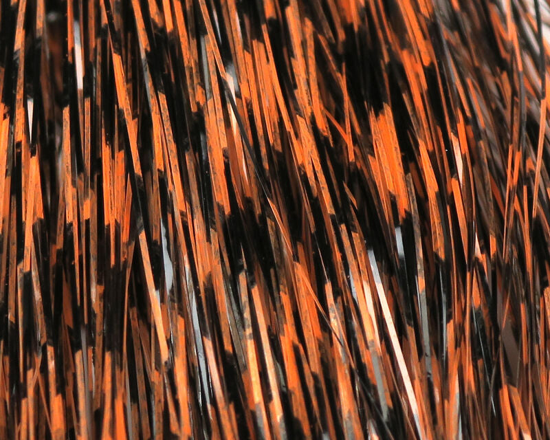 Grizzly Barred Flashabou