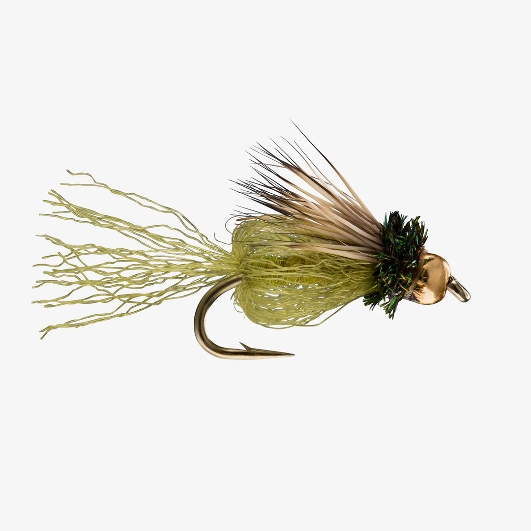 Caddis Sparkle Pupa Bead