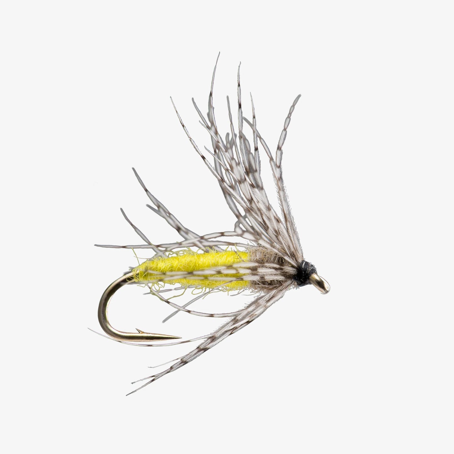 Partridge Soft Hackle