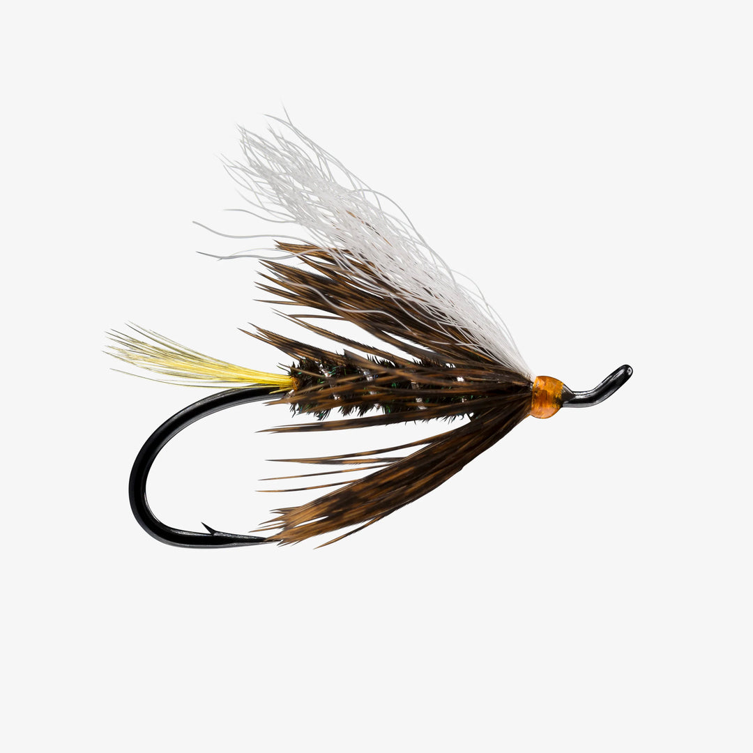 Steelhead Coachman