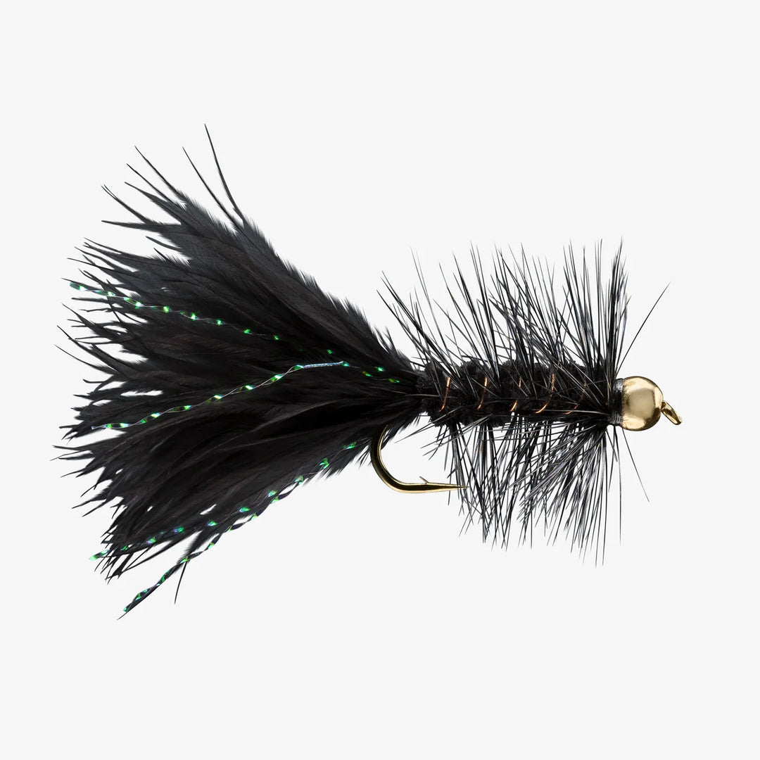 BH Woolly Bugger