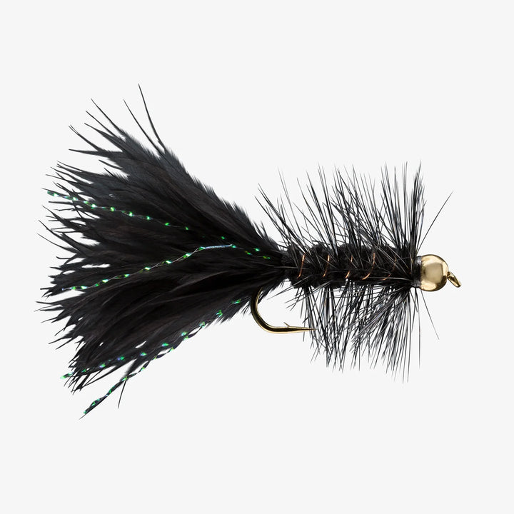 BH Woolly Bugger