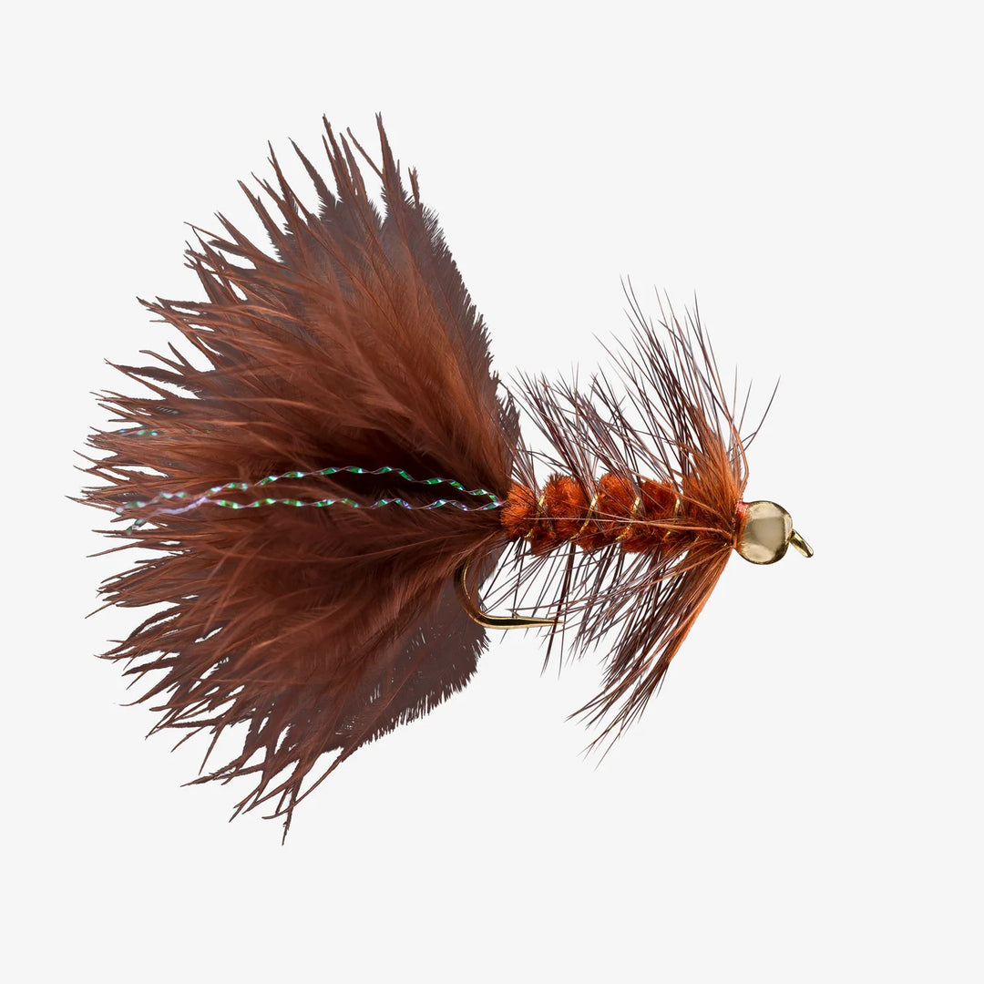 BH Woolly Bugger