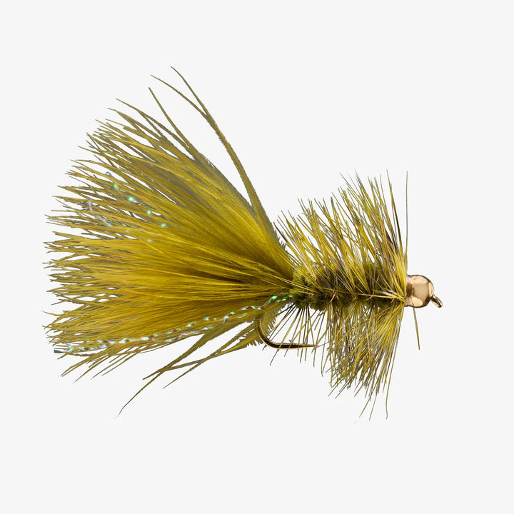 BH Woolly Bugger