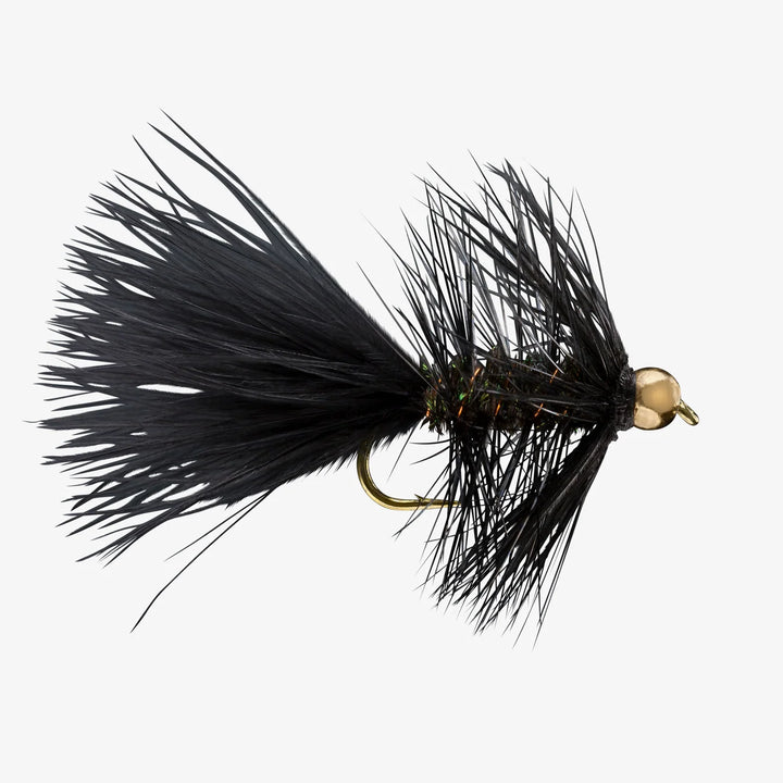 BH Woolly Bugger