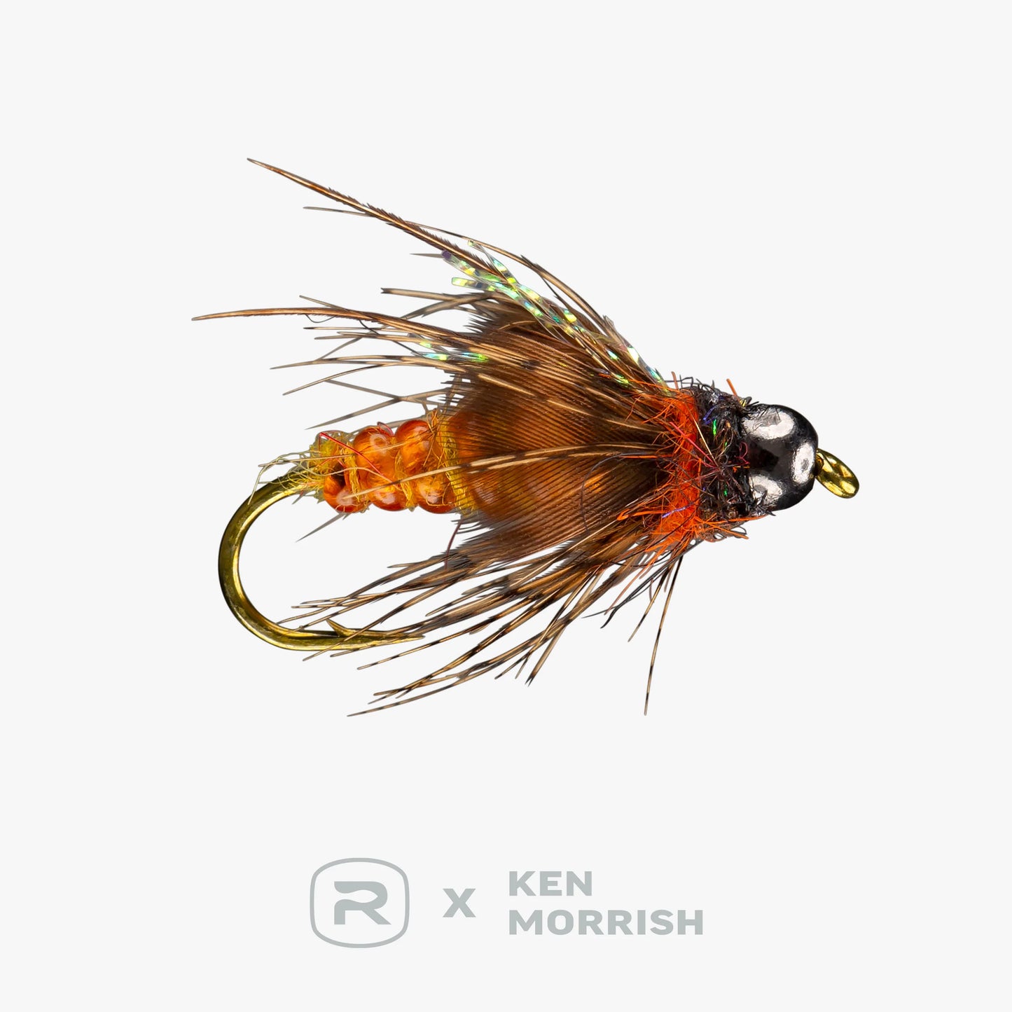 Rio's Morrish Deep October Pupa