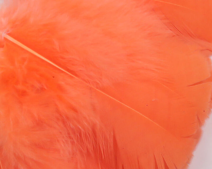 Intruder Feather Prop Hackle