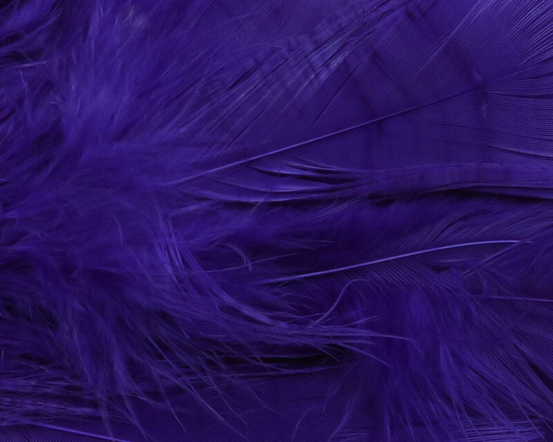 Intruder Feather Prop Hackle
