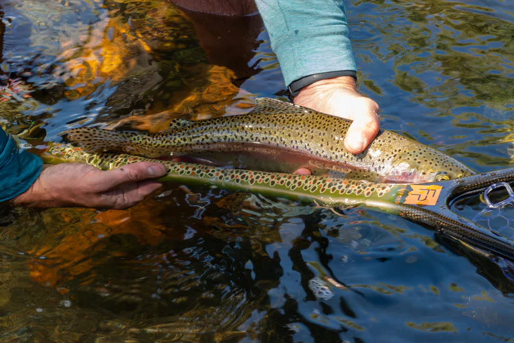 Nomad Middle Fork