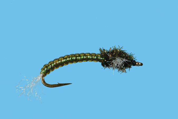 V-Rib Chironomid