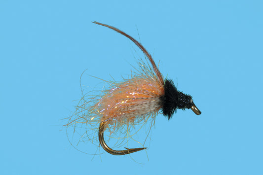 October Caddis