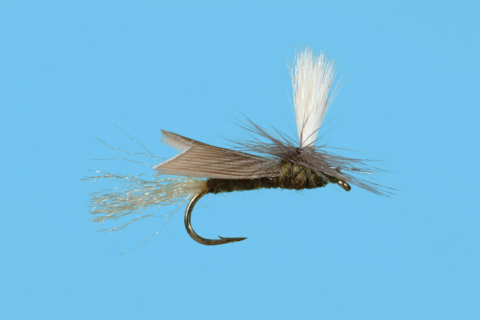 Parachute Slick Water Caddis