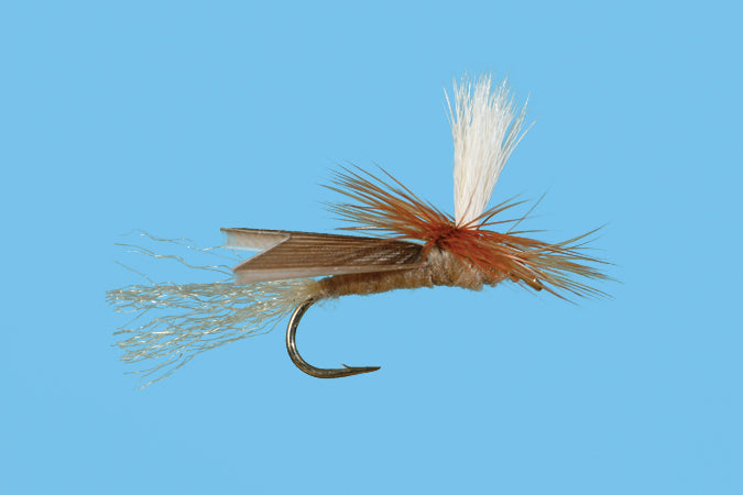 Parachute Slick Water Caddis