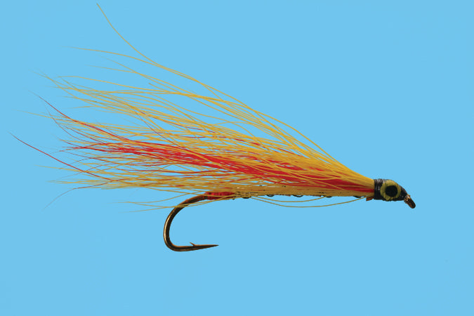 Mickey Finn