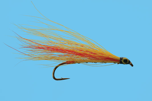 Mickey Finn