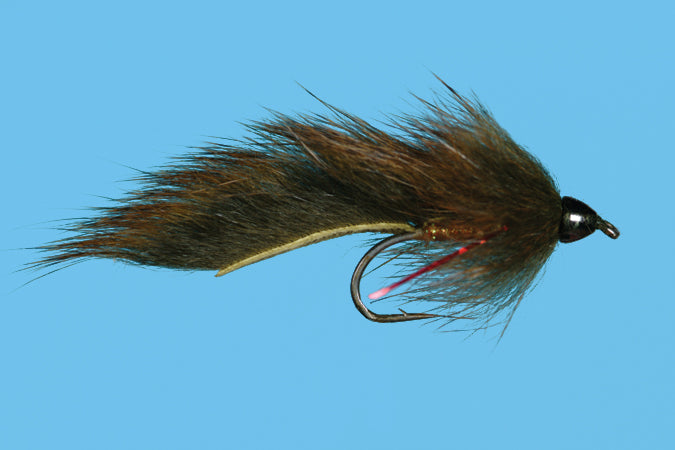 Wounded Sculpin