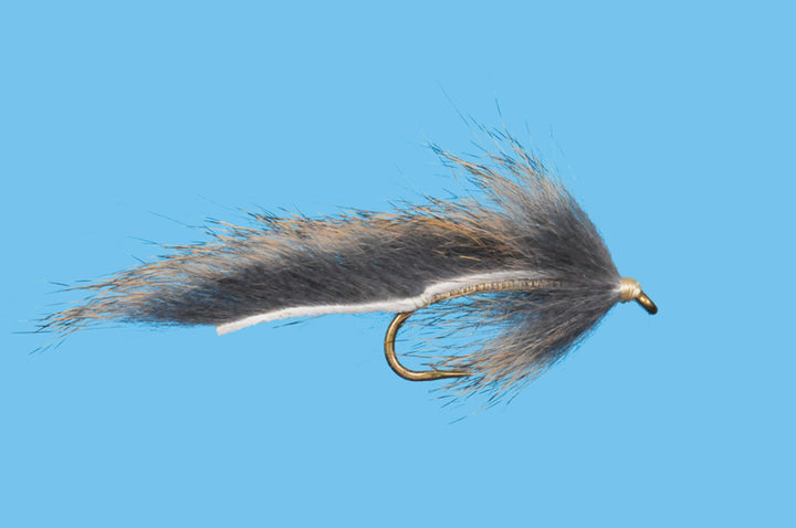 Squirrel Leech