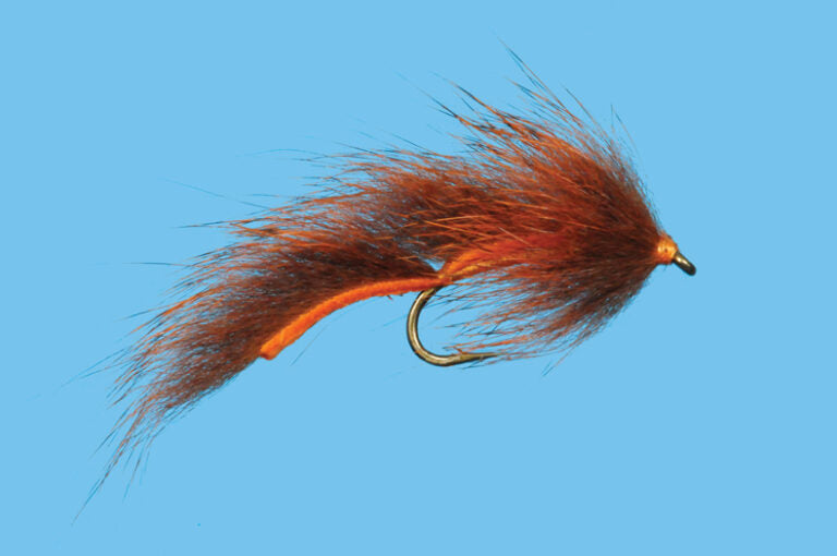 Squirrel Leech