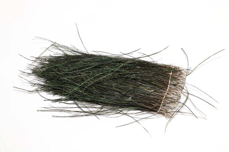 Strung Peacock Herl 5-7" Large Package