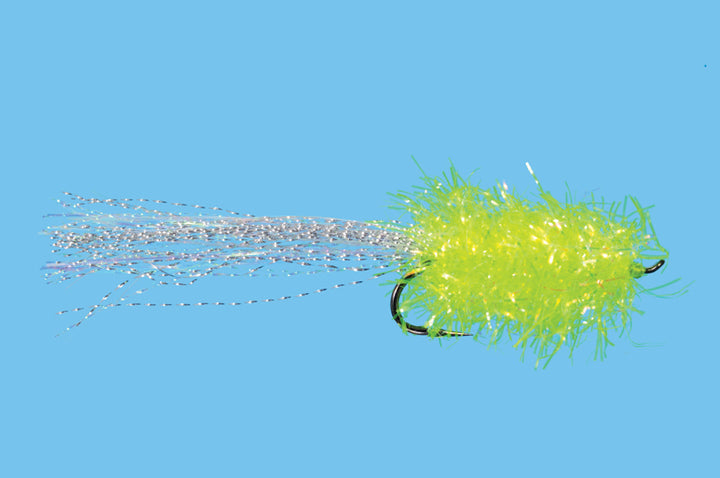 Coho Kryptonite