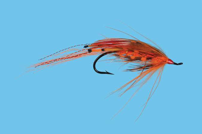 GP Spey