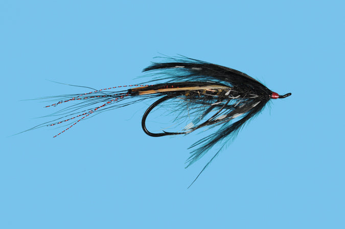 GP Spey