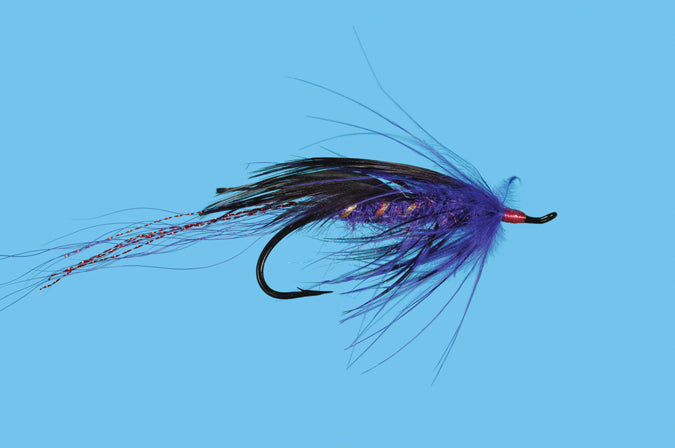 GP Spey