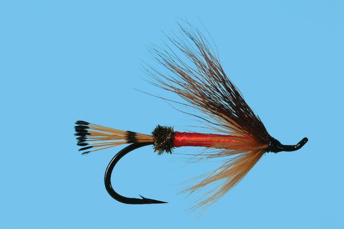 Rogue River Ant