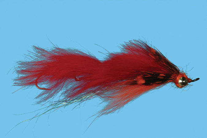 Loop Leech