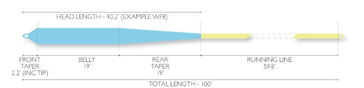 Airflo Tropical Punch