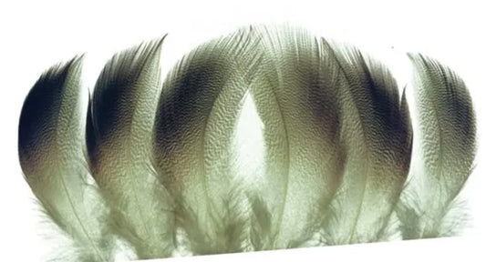Bronze Mallard Spey Select